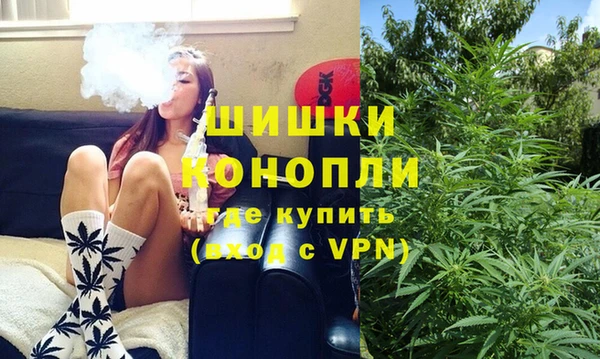 крисы Баксан
