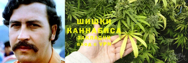 крисы Баксан