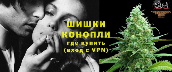 крисы Баксан
