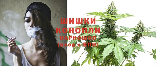 крисы Баксан