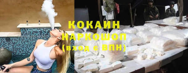 крисы Баксан