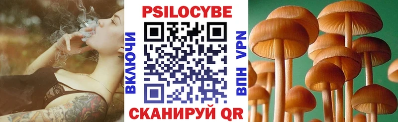 Псилоцибиновые грибы прущие грибы Кондрово