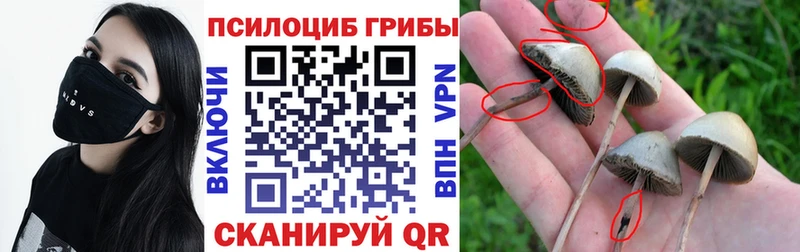 гидра ссылка  Кондрово  Псилоцибиновые грибы прущие грибы 